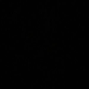 Meet your Posher, Antonio